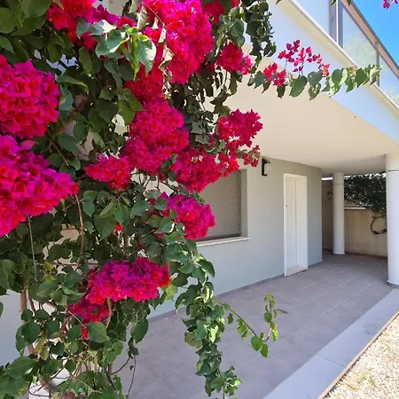 Amplio Duplex Con Piscina شقة